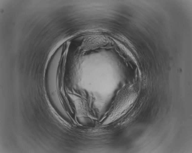 X0000067900795200605041616