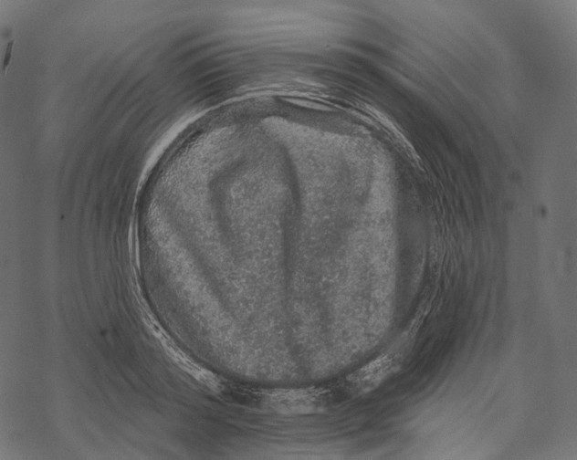 X0000067900796200605041616