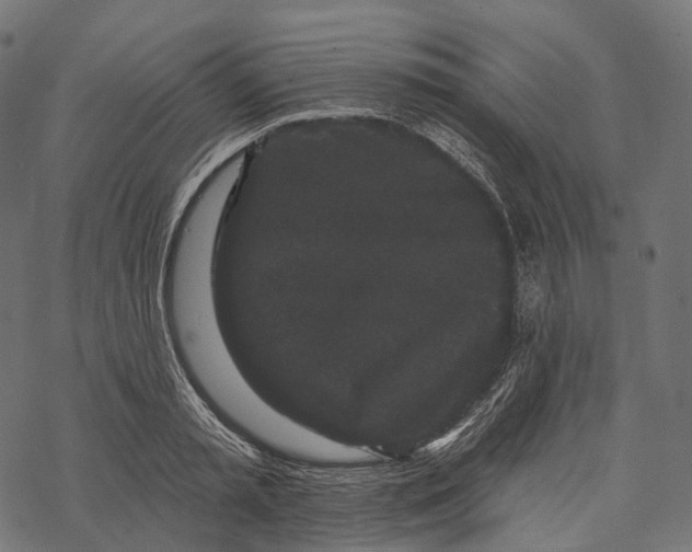 X0000067900797200605041616