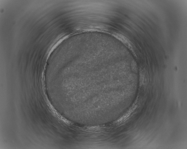 X0000067900798200605041616