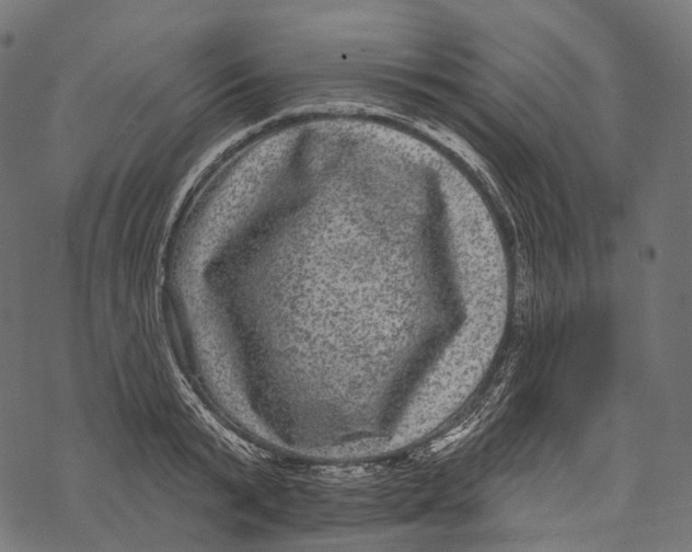 X0000067900799200605041616