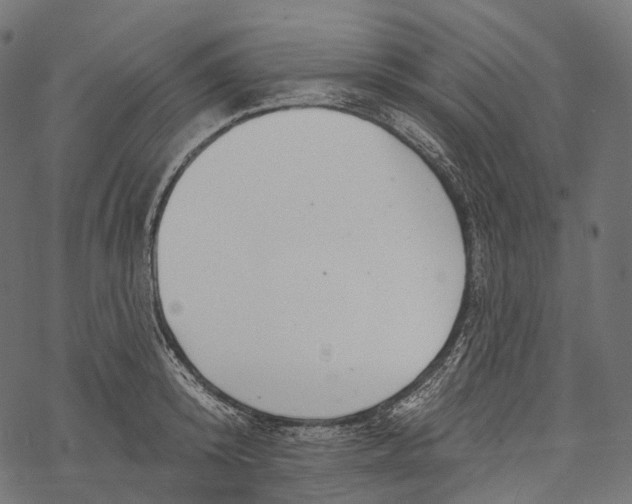 X0000067900800200605041616