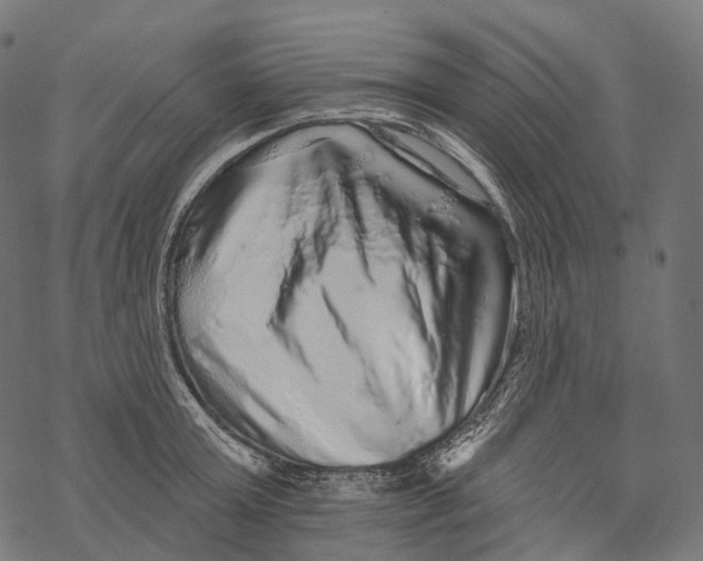 X0000067900803200605041616