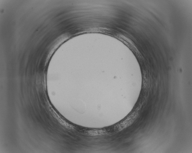 X0000067900804200605041616