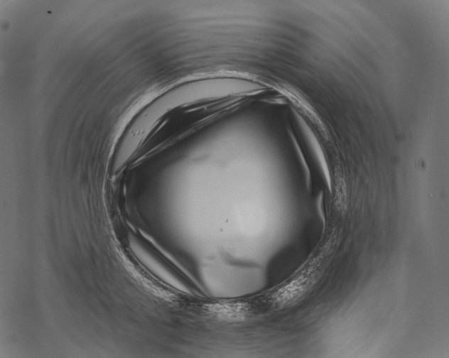 X0000067900805200605041616