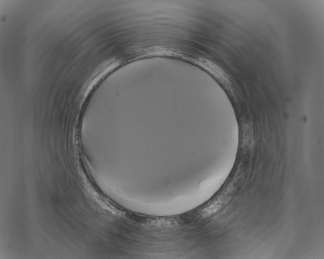 X0000067900806200605041616