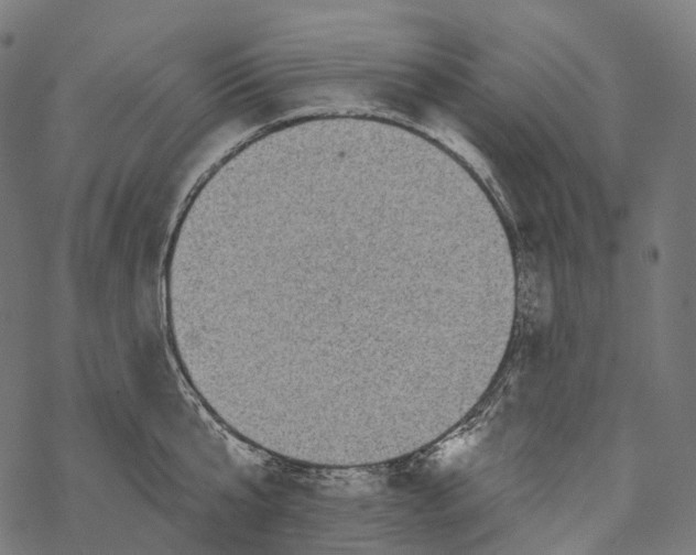 X0000067900807200605041616