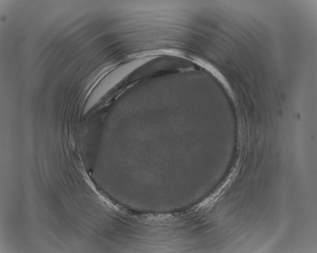 X0000067900809200605041616