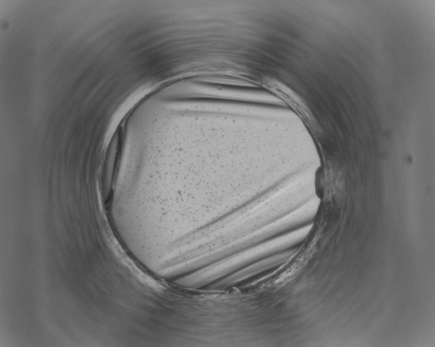 X0000067900812200605041616