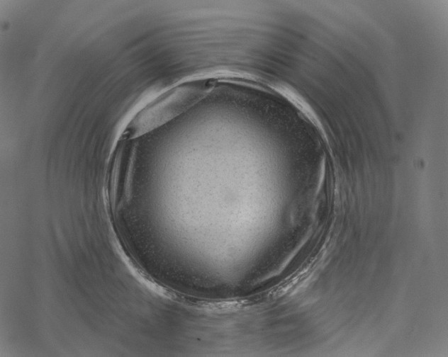 X0000067900813200605041616