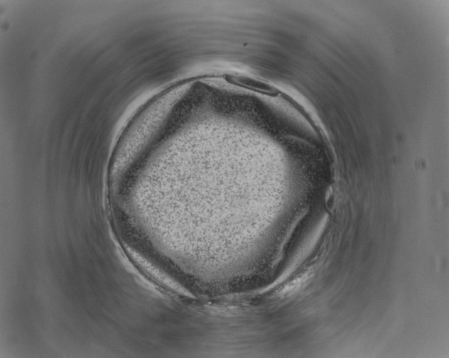 X0000067900815200605041616