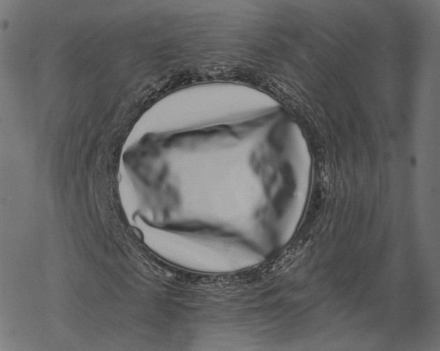 X0000067900817200605041615