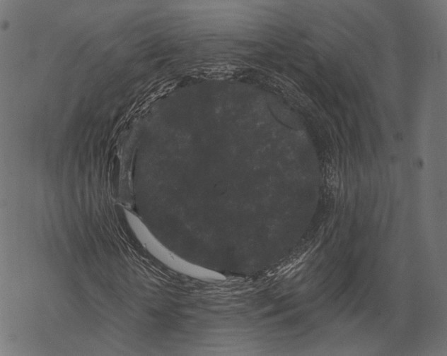 X0000067900818200605041615