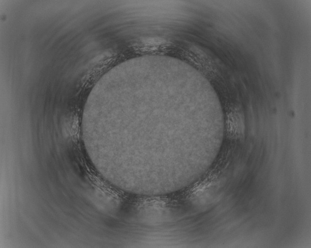 X0000067900820200605041615