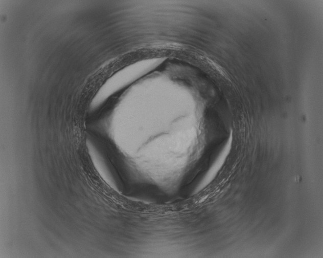 X0000067900821200605041615