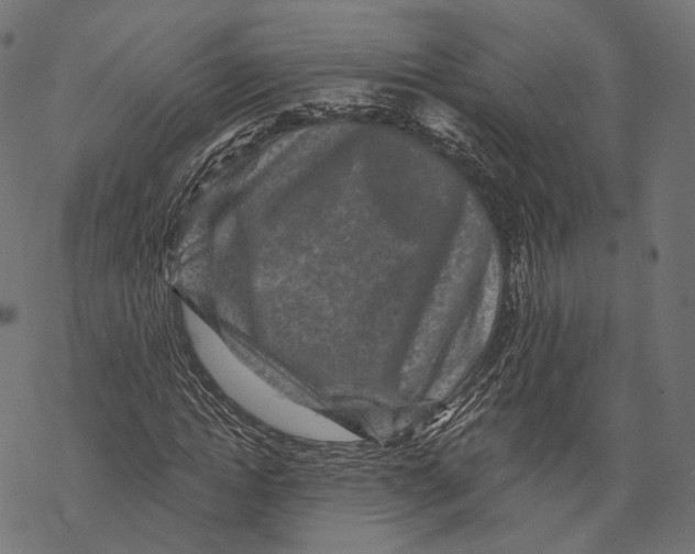 X0000067900822200605041615