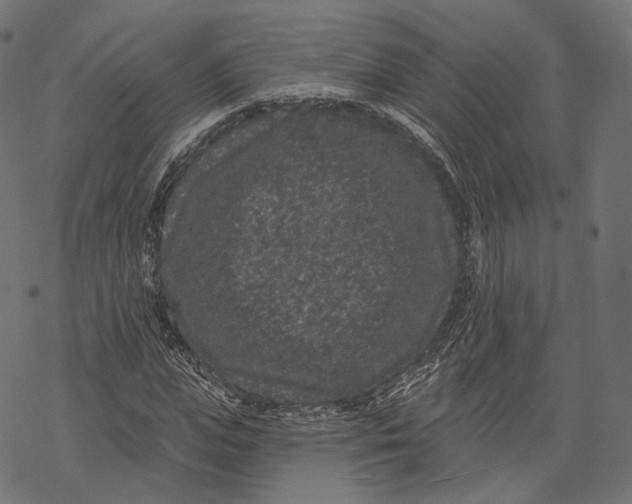 X0000067900823200605041615