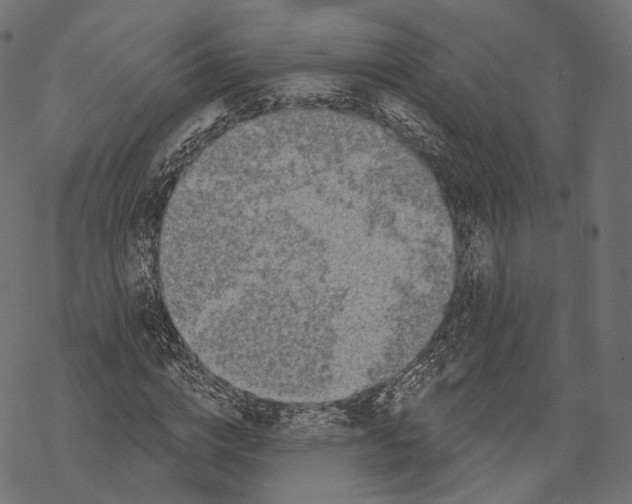 X0000067900824200605041615