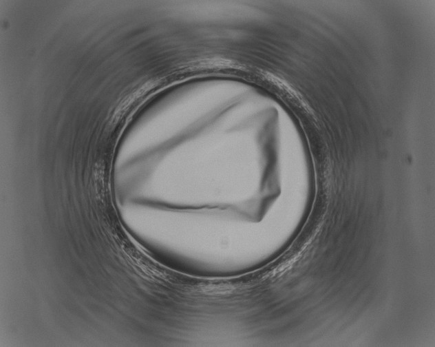 X0000067900825200605041615