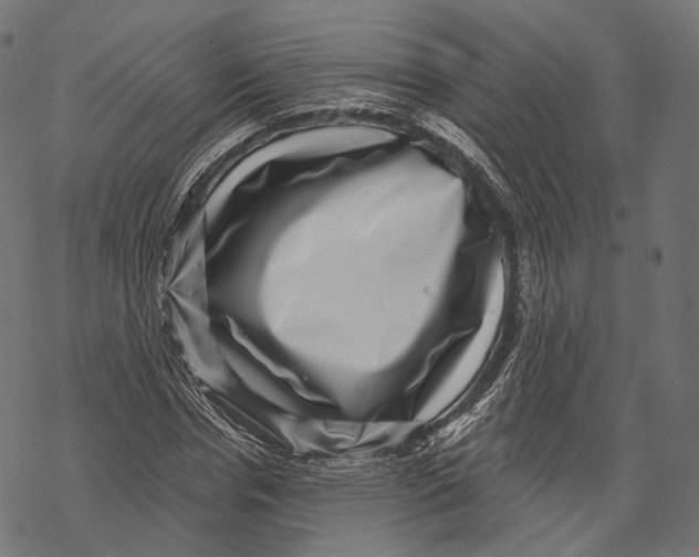 X0000067900826200605041615