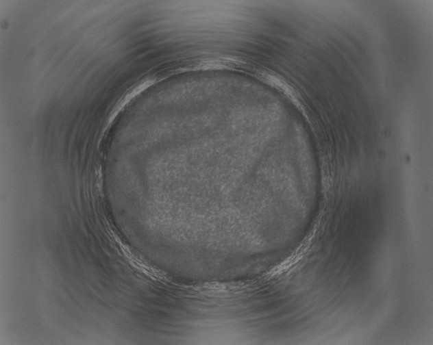 X0000067900827200605041615