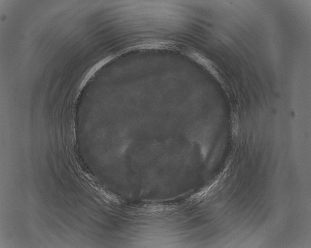 X0000067900829200605041615