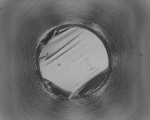 X0000067900830200605041615