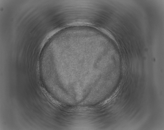 X0000067900831200605041615