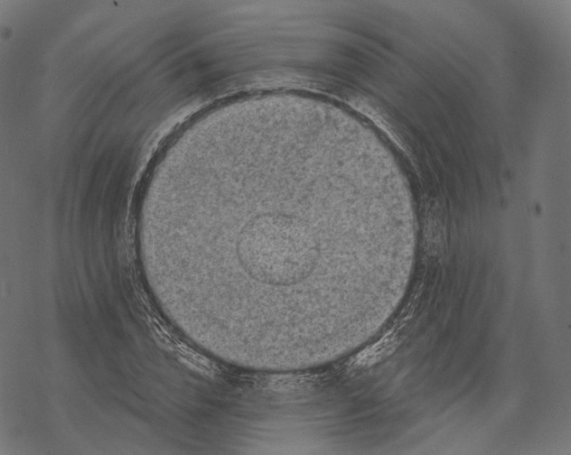 X0000067900832200605041615