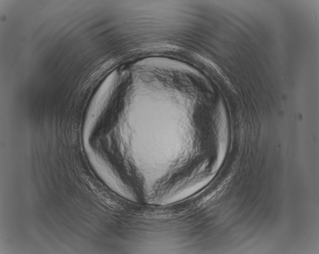 X0000067900833200605041615