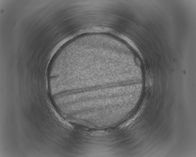 X0000067900837200605041616