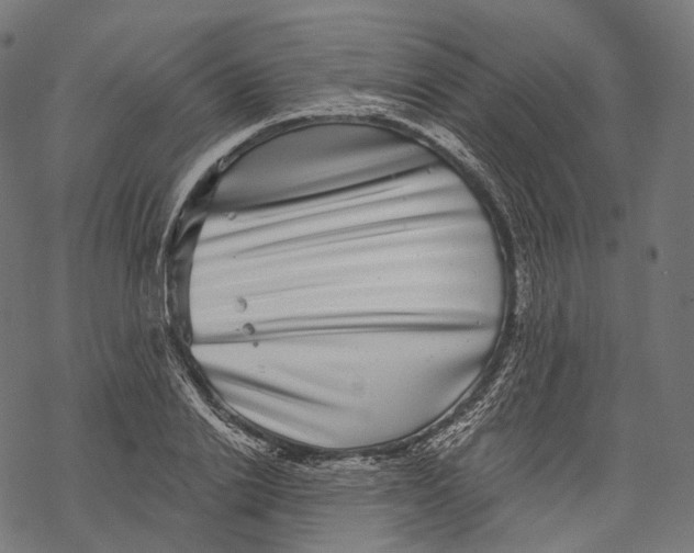 X0000067900838200605041616