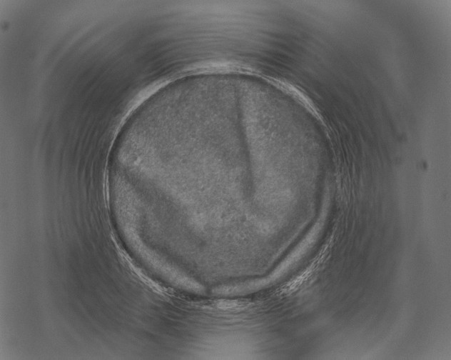 X0000067900839200605041616