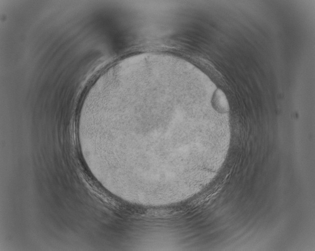 X0000067900840200605041616