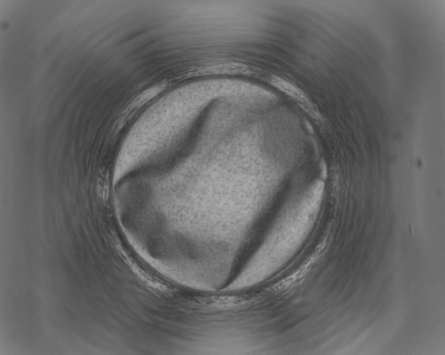 X0000067900841200605041616