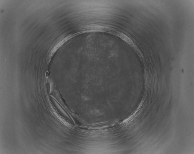 X0000067900842200605041616