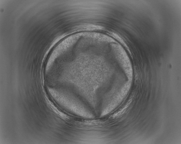 X0000067900843200605041616