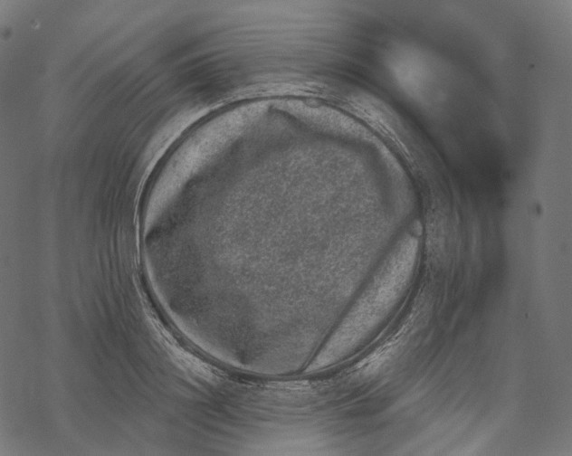 X0000067900844200605041616