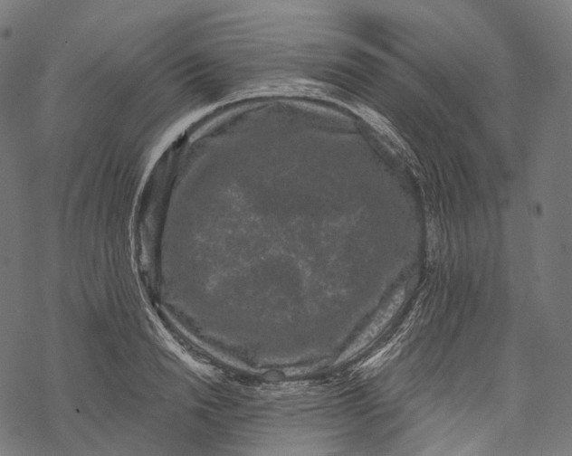 X0000067900846200605041616