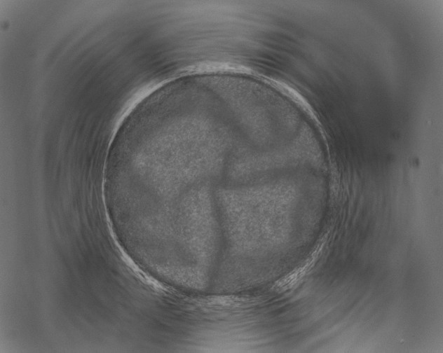 X0000067900847200605041616