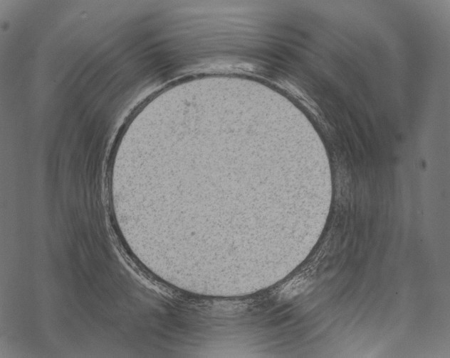 X0000067900848200605041616