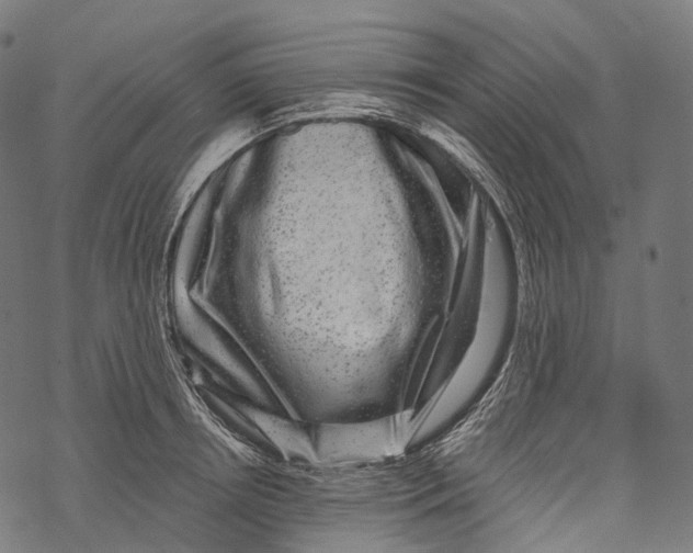 X0000067900850200605041616