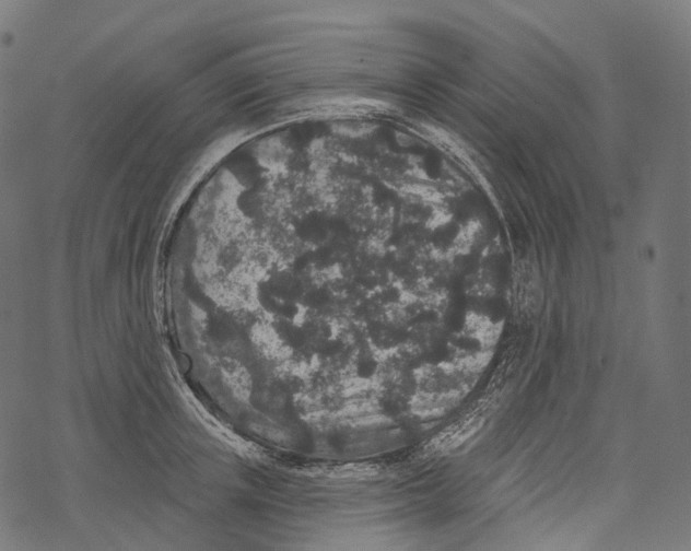 X0000067900851200605041616