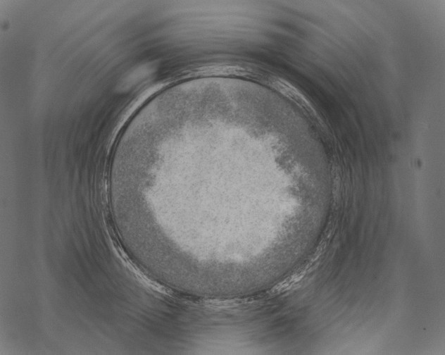 X0000067900852200605041616