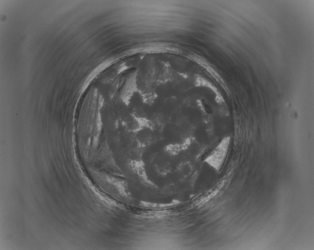 X0000067900853200605041616