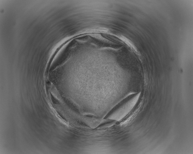 X0000067900854200605041616