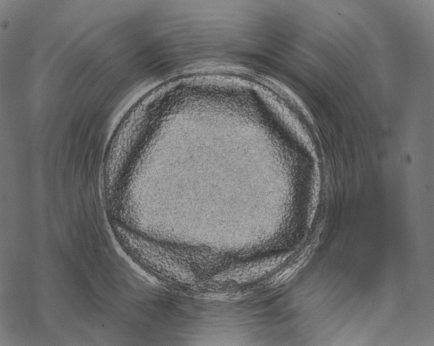 X0000067900855200605041616