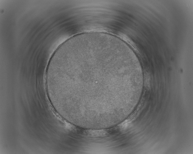 X0000067900856200605041616