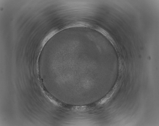 X0000067900858200605041616