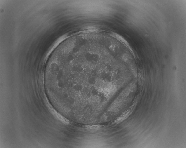 X0000067900859200605041616